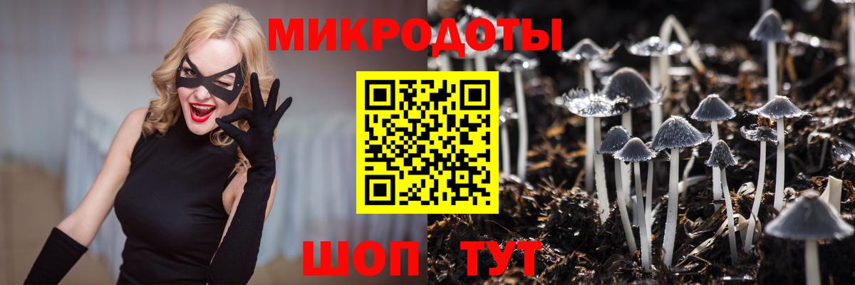 Псилоцибиновые грибы Cubensis  Галлюциногенные грибы MAGIC MUSHROOMS  Владимир  Вход с VPN 
